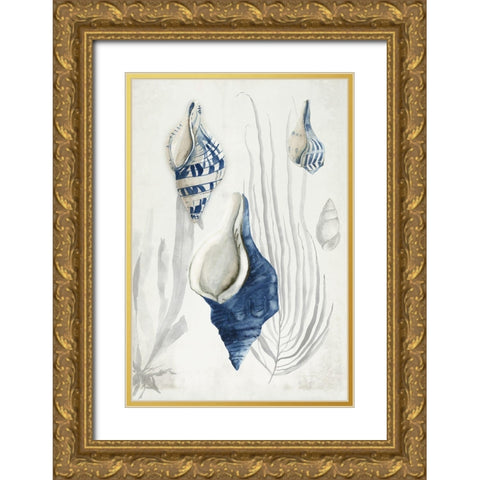 Antique Shells I  Gold Ornate Wood Framed Art Print with Double Matting by Wilson, Aimee