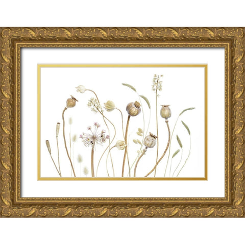 PODS Gold Ornate Wood Framed Art Print with Double Matting by Disher