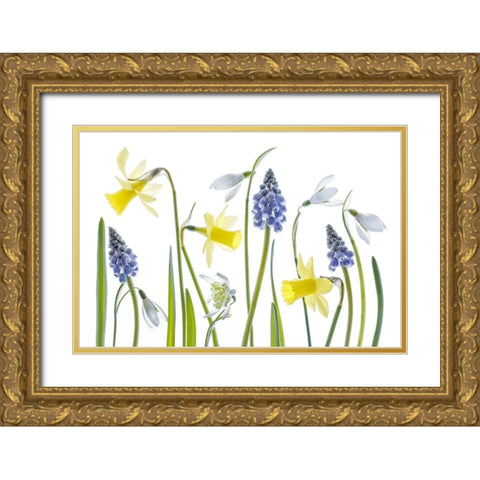 Spring Gold Ornate Wood Framed Art Print with Double Matting by Disher