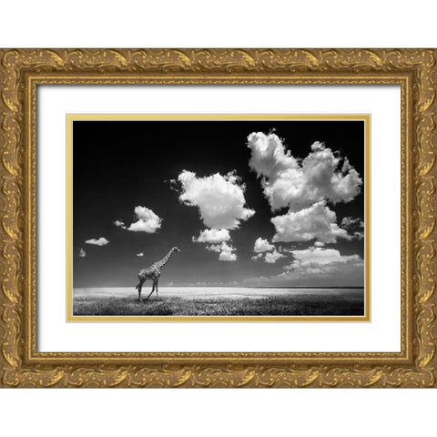 Ghizzi Panizza -Gone with the Clouds Gold Ornate Wood Framed Art Print with Double Matting by 1x