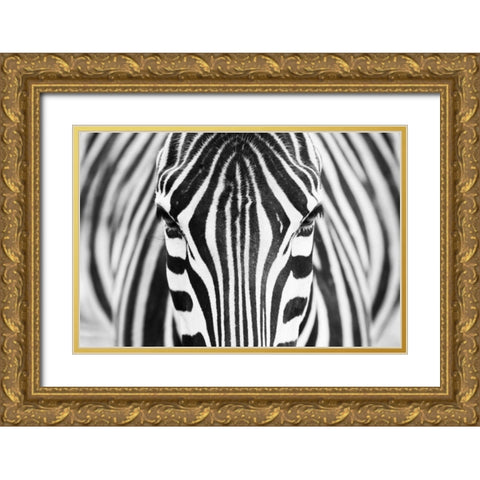 Alhumaid Gold Ornate Wood Framed Art Print with Double Matting by 1x