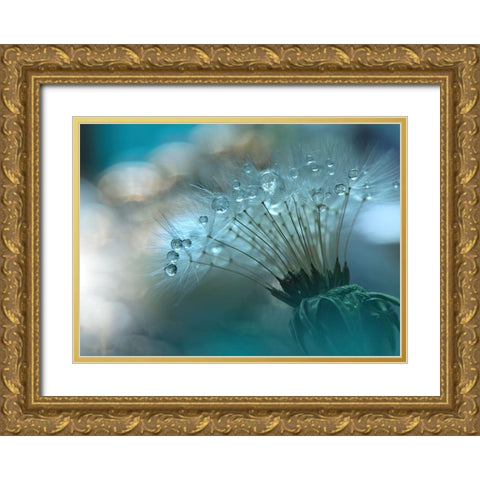 Nan Gold Ornate Wood Framed Art Print with Double Matting by 1X