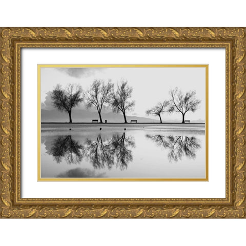Kara Gold Ornate Wood Framed Art Print with Double Matting by Ayer