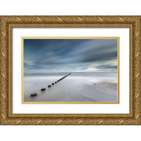 T Gold Ornate Wood Framed Art Print with Double Matting by Nebelski