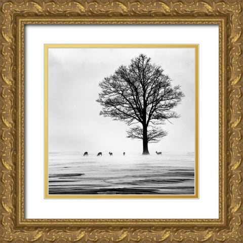 Roes Gold Ornate Wood Framed Art Print with Double Matting by Dansiga