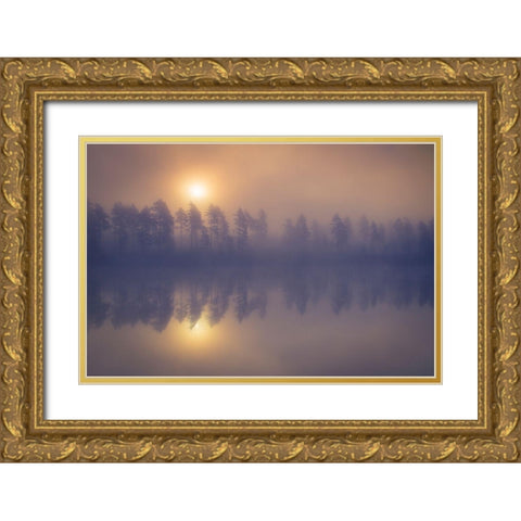 Misty trees Gold Ornate Wood Framed Art Print with Double Matting by 1x