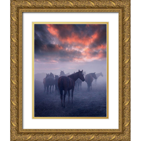 Wild Horses Gold Ornate Wood Framed Art Print with Double Matting by 1x