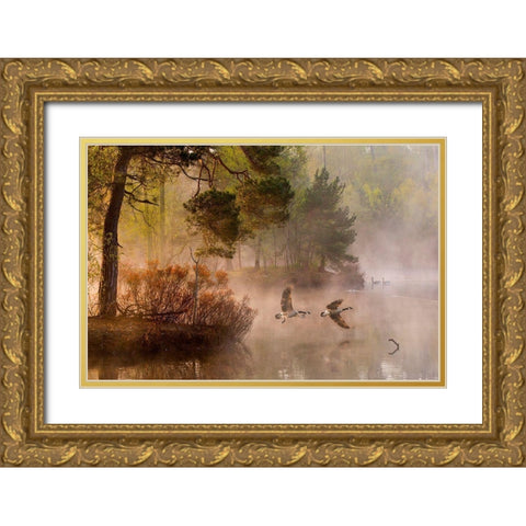 Van Dongen - Goose Fight Gold Ornate Wood Framed Art Print with Double Matting by 1x