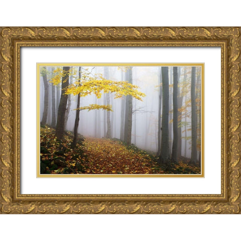 Untitled Gold Ornate Wood Framed Art Print with Double Matting by 1x