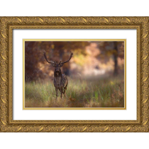 Posing Gold Ornate Wood Framed Art Print with Double Matting by Mastahac