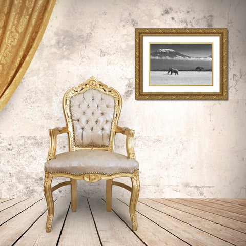 Lost Colors II Gold Ornate Wood Framed Art Print with Double Matting by Canakci