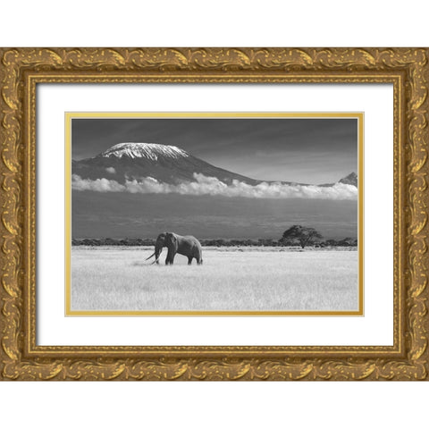 Lost Colors II Gold Ornate Wood Framed Art Print with Double Matting by Canakci