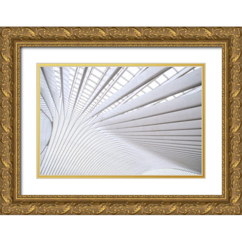 Wride - Curvature Gold Ornate Wood Framed Art Print with Double Matting by 1X