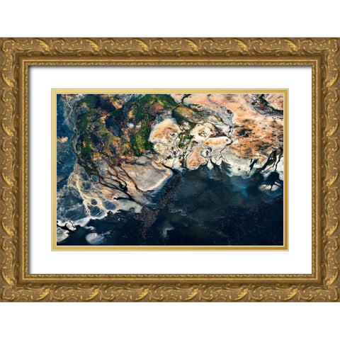 Fan - Splendid Africa Gold Ornate Wood Framed Art Print with Double Matting by 1x