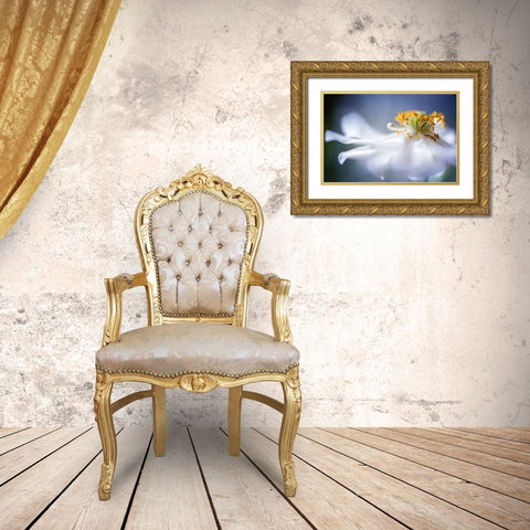 Anemone I Gold Ornate Wood Framed Art Print with Double Matting by Disher