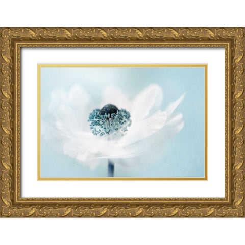 Candy Floss Gold Ornate Wood Framed Art Print with Double Matting by Parker
