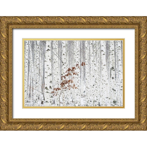 Hee Han - From White Gold Ornate Wood Framed Art Print with Double Matting by 1x