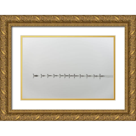 Follow me Gold Ornate Wood Framed Art Print with Double Matting by Kalathas