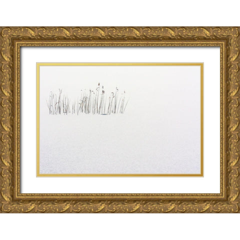 Frozen life Gold Ornate Wood Framed Art Print with Double Matting by Scappazzoni