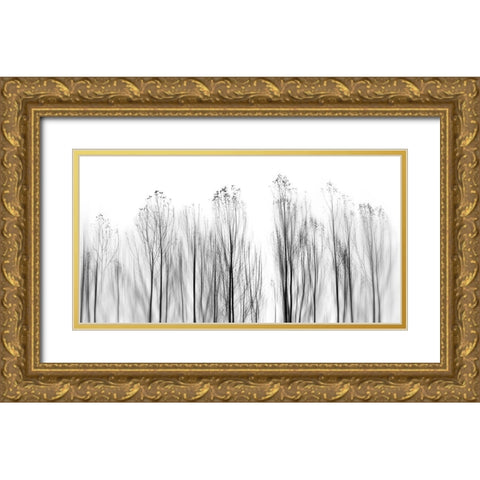 No Grounds Gold Ornate Wood Framed Art Print with Double Matting by Abrantes