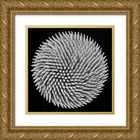 Hypnosis Gold Ornate Wood Framed Art Print with Double Matting by Toniolo