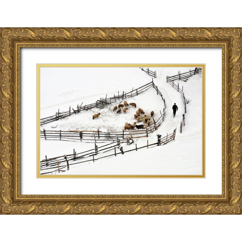 Protected Area Gold Ornate Wood Framed Art Print with Double Matting by Harag