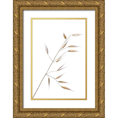 Lagandre- Subtle Delicateness  Gold Ornate Wood Framed Art Print with Double Matting by 1x