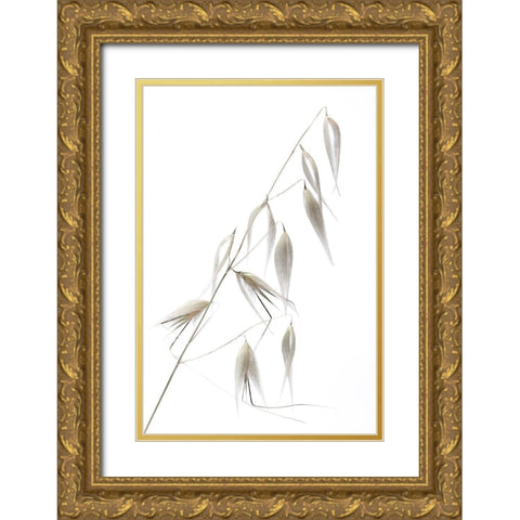 Reed Delicacy Gold Ornate Wood Framed Art Print with Double Matting by Lagandre
