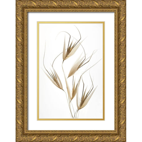 Lagandre- Delicacy of Nature Gold Ornate Wood Framed Art Print with Double Matting by 1x