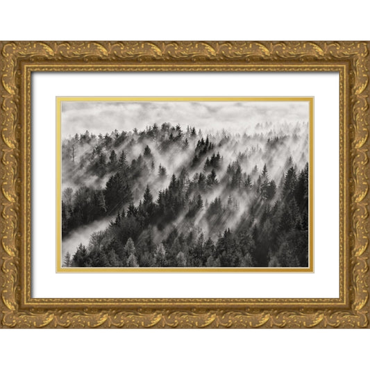Perspective Image