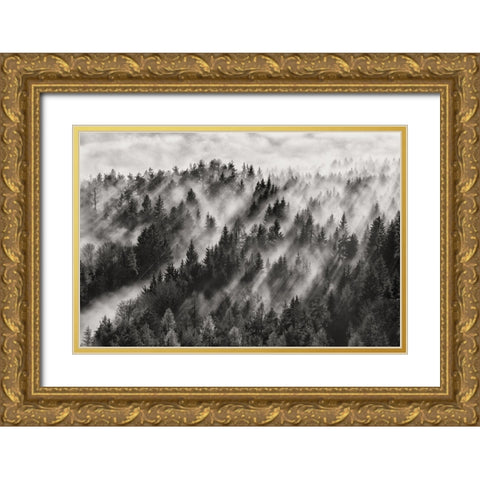 Sundance Evening Gold Ornate Wood Framed Art Print with Double Matting by Baloh