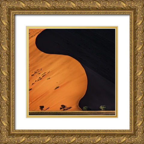 Light and Shadow Gold Ornate Wood Framed Art Print with Double Matting by Flour