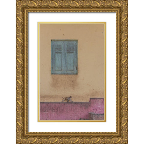 Monkey Stroll Gold Ornate Wood Framed Art Print with Double Matting by Dessureault