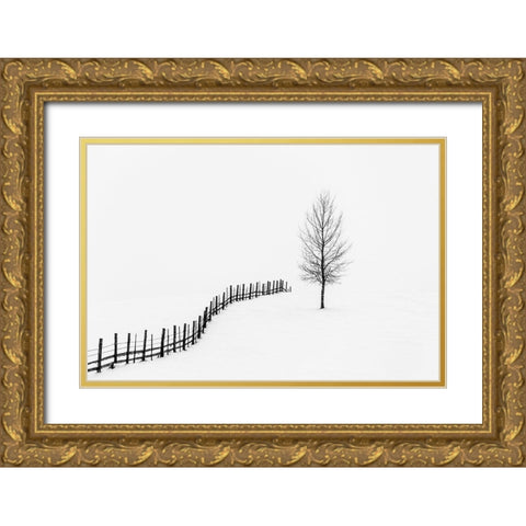 Silence  Gold Ornate Wood Framed Art Print with Double Matting by Lucian, Dorin
