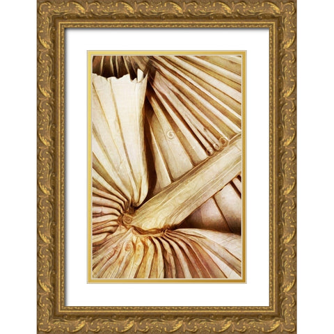 Natural Dried Palms I  Gold Ornate Wood Framed Art Print with Double Matting by Aldridge, Ashley