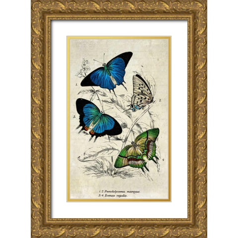 Kirby Butterflies I Gold Ornate Wood Framed Art Print with Double Matting by Zalewski, Christine