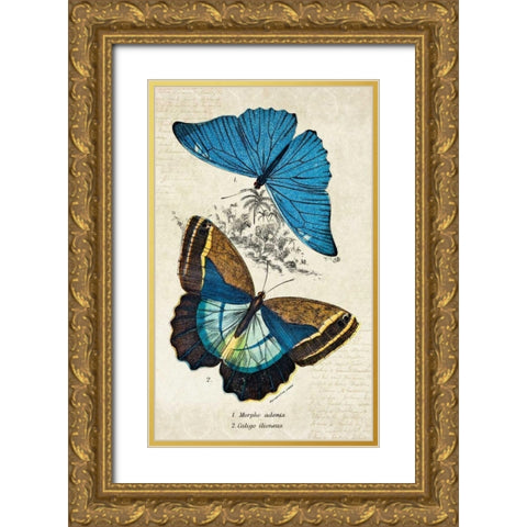 Kirby Butterflies II Gold Ornate Wood Framed Art Print with Double Matting by Zalewski, Christine