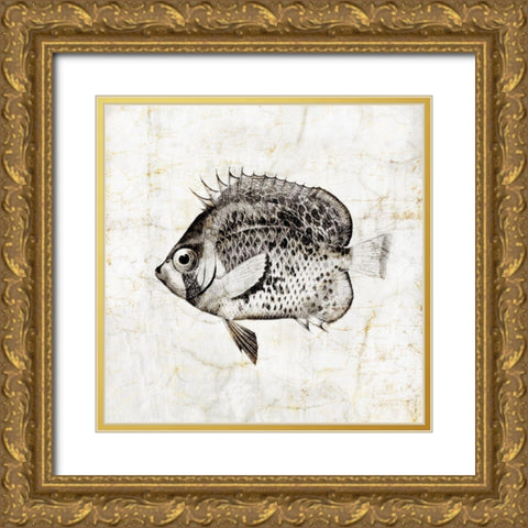 Vintage Fish IV Gold Ornate Wood Framed Art Print with Double Matting by Zalewski, Christine