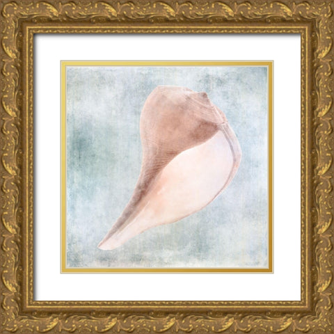 Blue Cream Sea Shell  Gold Ornate Wood Framed Art Print with Double Matting by Zalewski, Christine