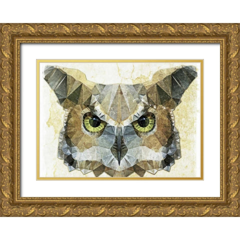 Abstract Owl Gold Ornate Wood Framed Art Print with Double Matting by Ancello