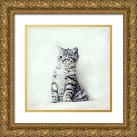 Cat Winks Gold Ornate Wood Framed Art Print with Double Matting by Attura, Nadia
