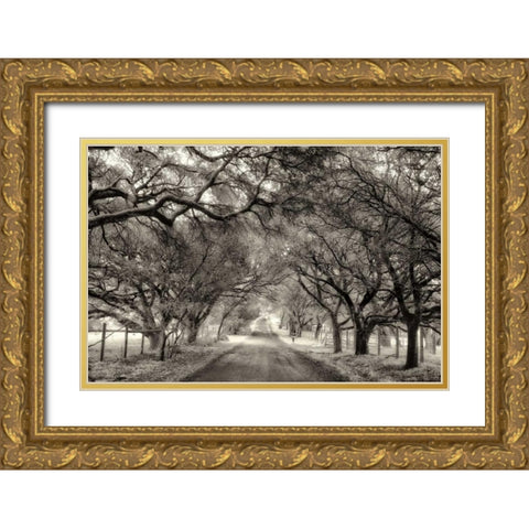 Canopy Gold Ornate Wood Framed Art Print with Double Matting by Aron, Lucy
