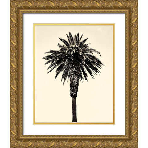 Palm Tree 1996 (Tan) Gold Ornate Wood Framed Art Print with Double Matting by Asla, Erik