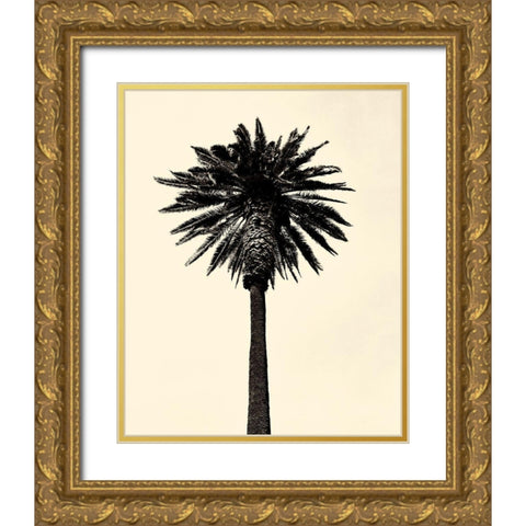 Palm Tree 1979 Tan Gold Ornate Wood Framed Art Print with Double Matting by Asla, Erik