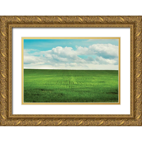 Signs of Life Gold Ornate Wood Framed Art Print with Double Matting by Annie Bailey Art