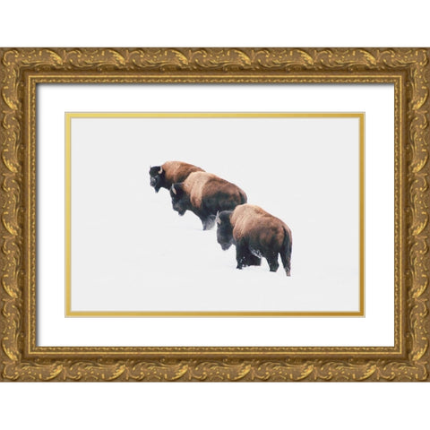 Yellowstone Trio Gold Ornate Wood Framed Art Print with Double Matting by Annie Bailey Art