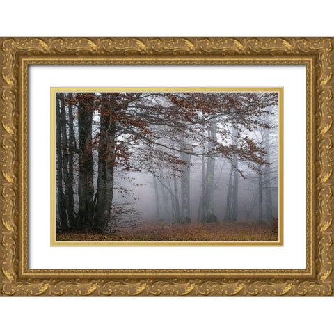 Autumn Paintings Gold Ornate Wood Framed Art Print with Double Matting by Artemiadi, Dora