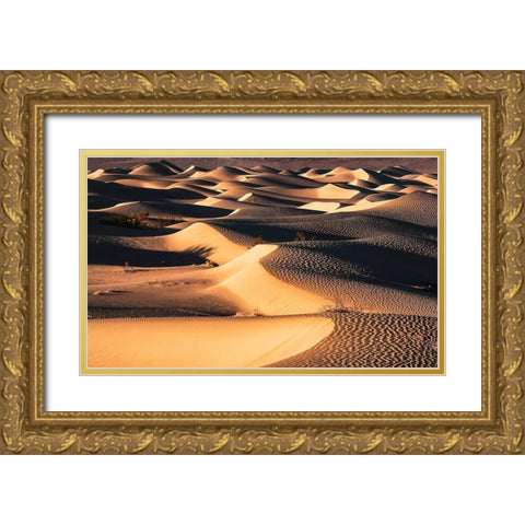 Death Valley Gold Ornate Wood Framed Art Print with Double Matting by Artemiadi, Dora