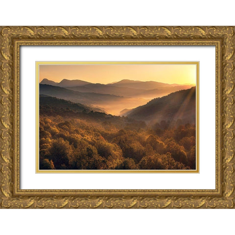 Going Back Gold Ornate Wood Framed Art Print with Double Matting by Artemiadi, Dora