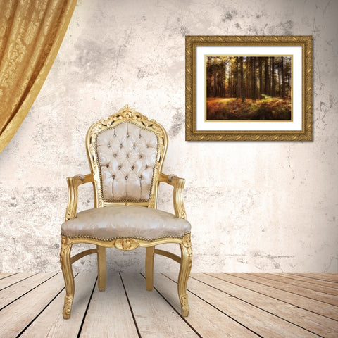 Painting of a Forest Gold Ornate Wood Framed Art Print with Double Matting by Artemiadi, Dora